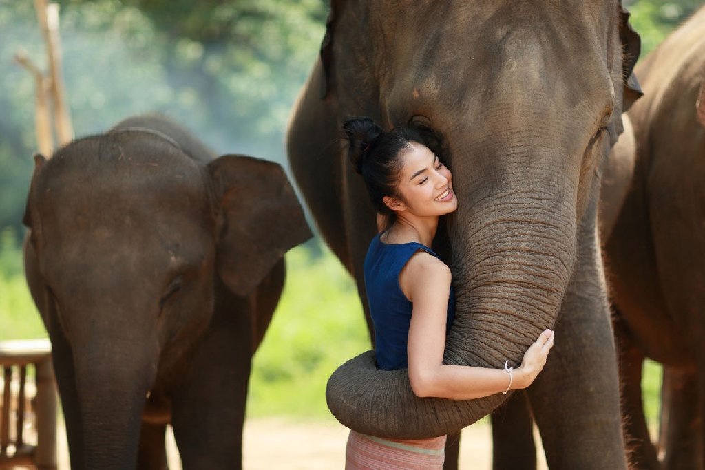 Thailanda de 1 decembrie